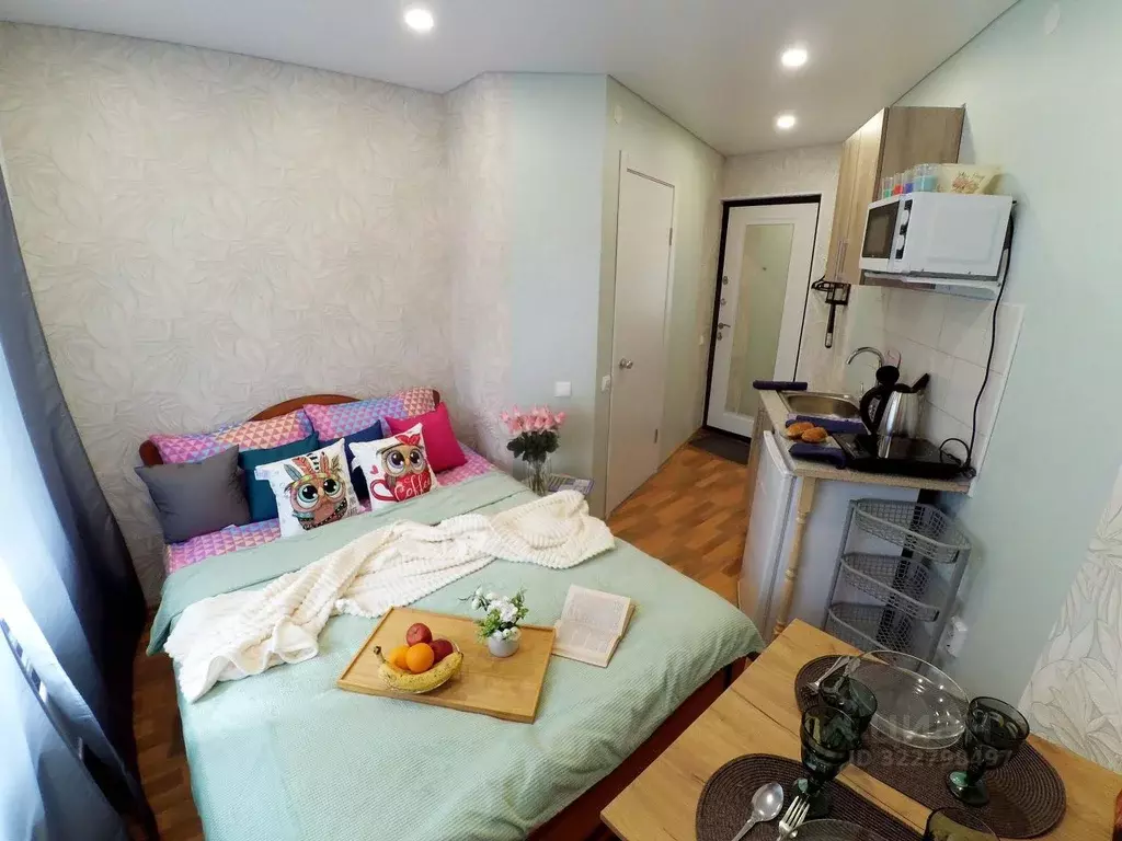 1-к кв. Татарстан, Казань Габдуллы Тукая ул., 9 (12.0 м) - Фото 1