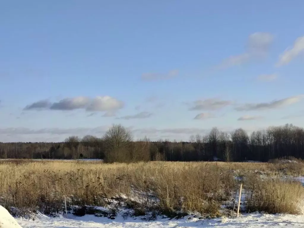 Участок в Тверская область, Калининский муниципальный округ, д. ... - Фото 1