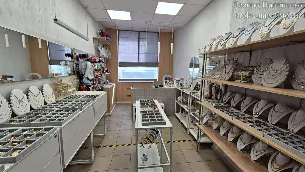 Торговая площадь в Самарская область, Самара ул. Мичурина, 15 (18 м) - Фото 1