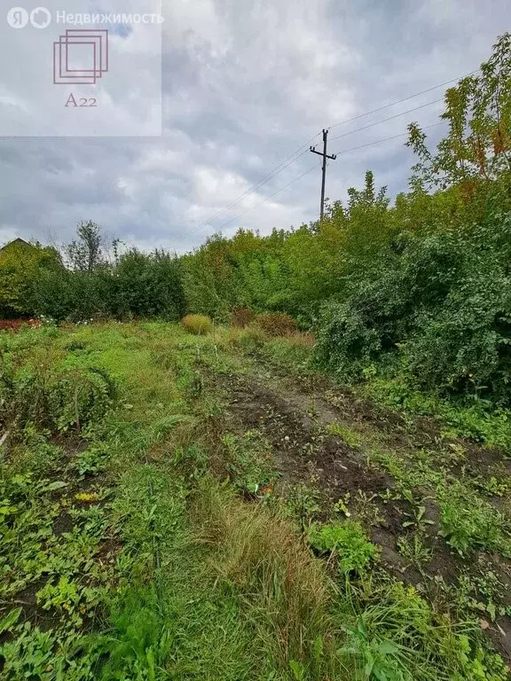 Дом в Барнаул, Змеиногорский тракт, 89В (25 м) - Фото 2