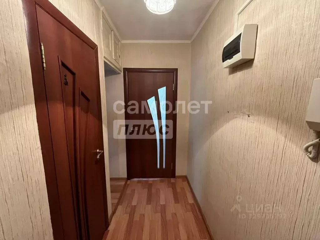 2-к кв. Курская область, Курск Станционная ул., 38 (31.8 м) - Фото 1
