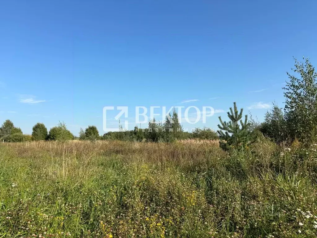 Участок в Ивановская область, Ивановский район, Беляницкое с/пос, д. ... - Фото 2