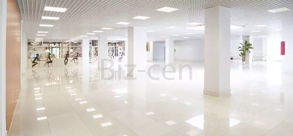 Офис в Санкт-Петербург Северный просп., 5 (29 м) - Фото 2