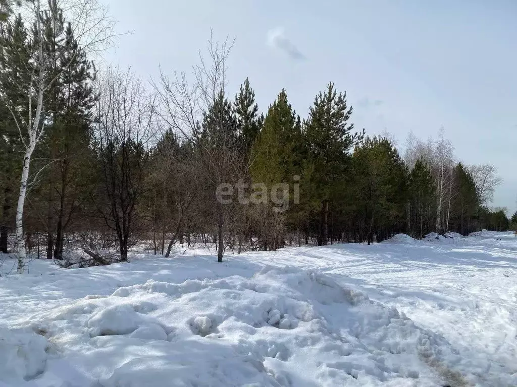 Участок в Свердловская область, Талица ул. Луначарского (10.6 сот.) - Фото 1