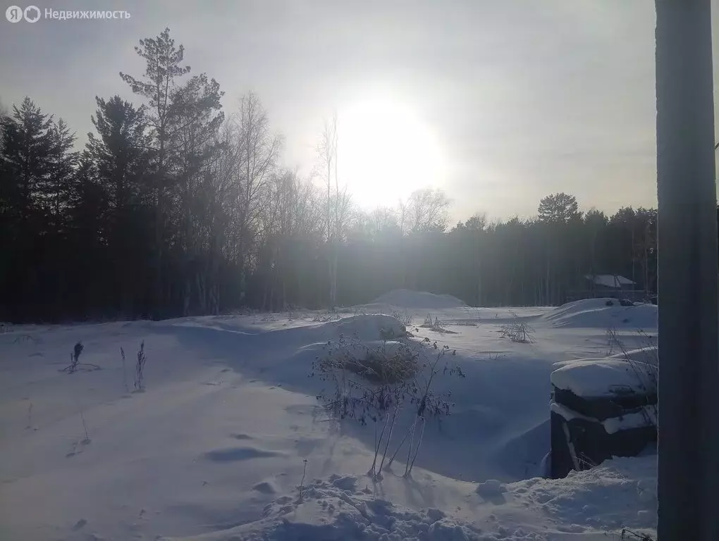 Участок в Иркутский муниципальный округ, деревня Новолисиха, Клубный ... - Фото 2