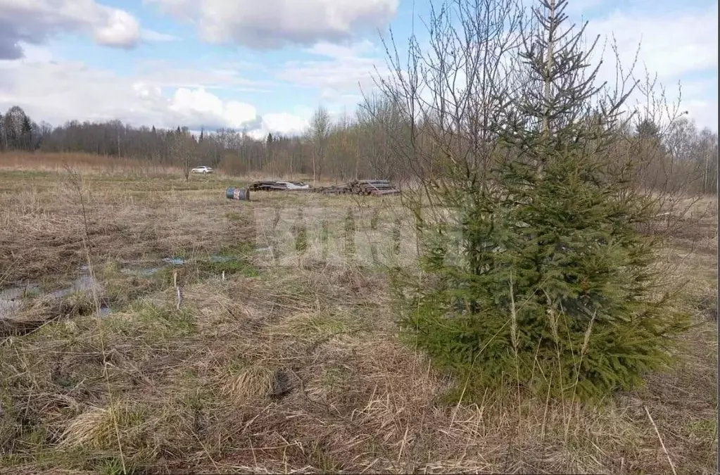 Участок в Вологодская область, Сокольский муниципальный округ, ... - Фото 2