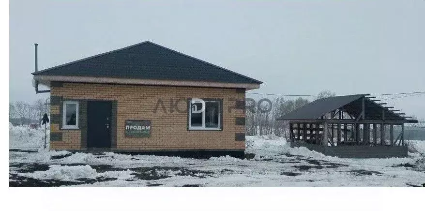 Дом в Алтайский край, Барнаул городской округ, пос. Центральный ул. ... - Фото 2