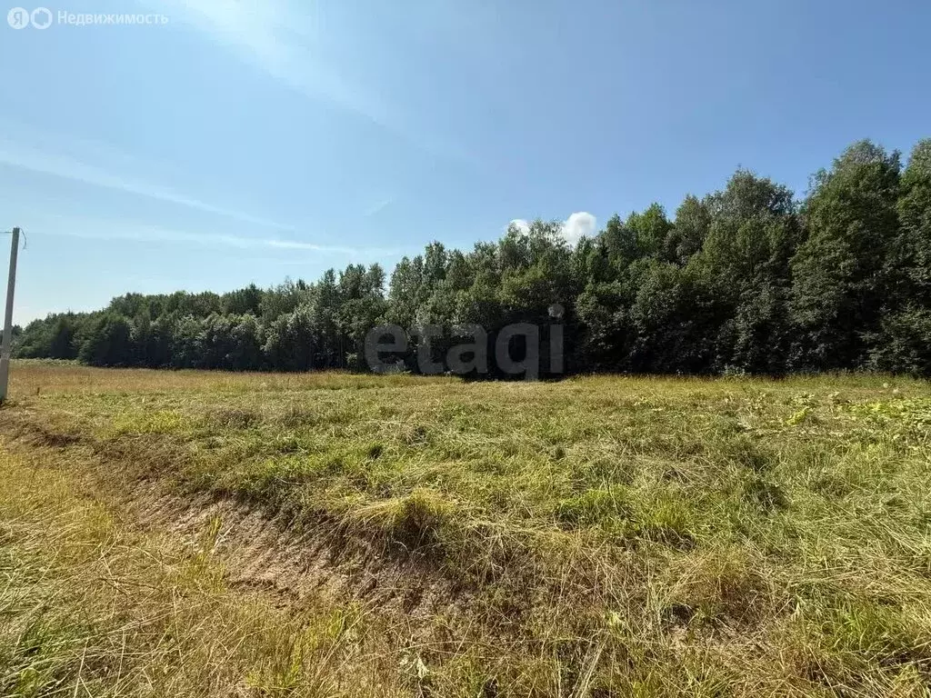 Участок в Республика Коми, муниципальный район Сыктывдинский, село ... - Фото 1