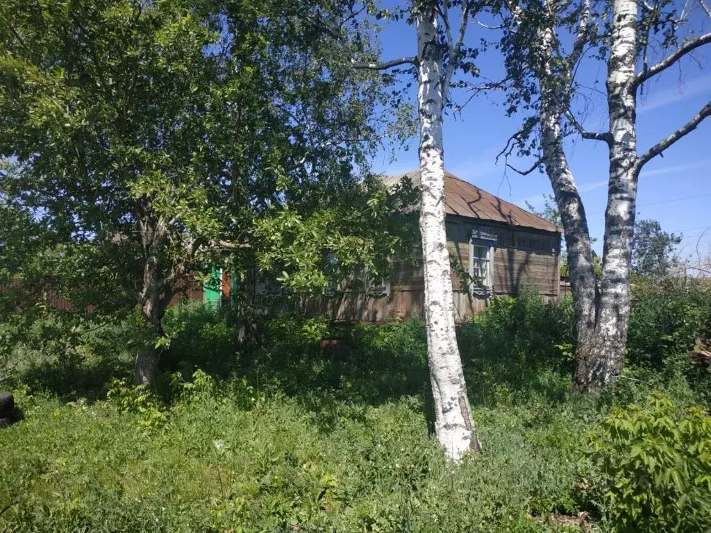 Дом в Тамбовская область, Тамбовский муниципальный округ, с. Лысые ... - Фото 0