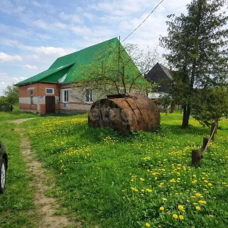 Дом в Тамбовская область, Мичуринский муниципальный округ, с. Стаево ... - Фото 1