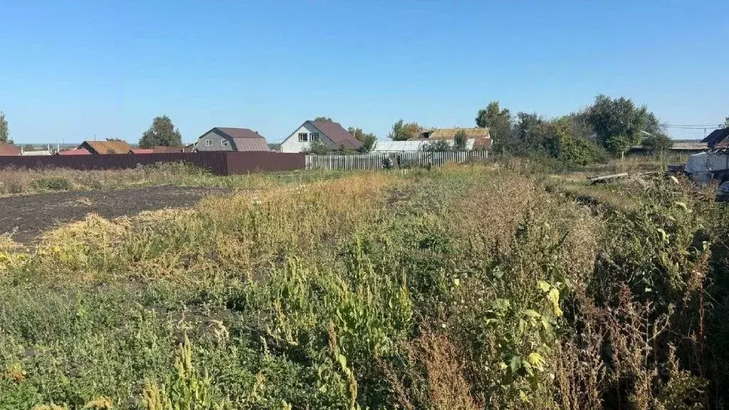 Участок в Пензенская область, с. Бессоновка ул. Свободная, 2А (11.0 ... - Фото 2