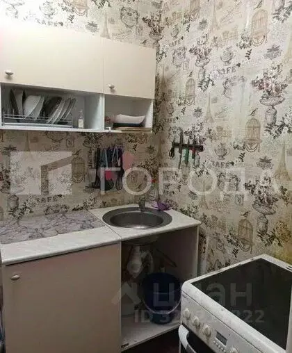 1-к кв. Новосибирская область, Новосибирск Выборная ул., 106 (30.0 м) - Фото 1