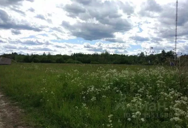 Участок в Новгородская область, Батецкий муниципальный округ, д. Новое ... - Фото 0