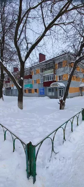 2-к кв. Пензенская область, Каменка ул. Чернышевского, 19 (41.9 м) - Фото 1