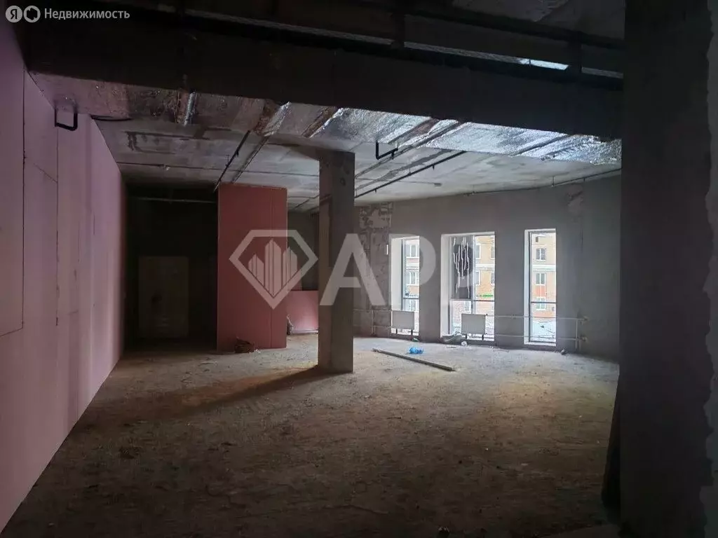 Помещение свободного назначения (250 м) - Фото 2