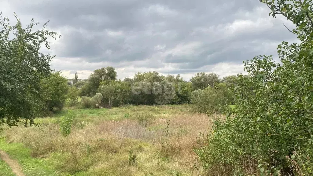 Участок в Воронежская область, Семилукский район, с. Девица ул. ... - Фото 0