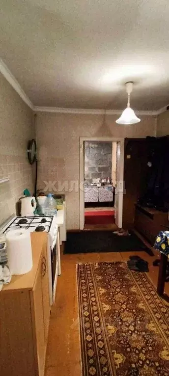 Дом в Новосибирская область, Новосибирск Славянская ул. (60 м) - Фото 2