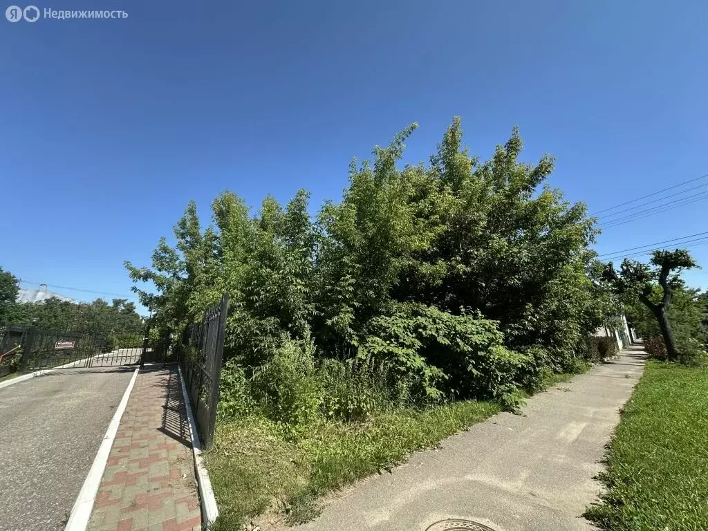 Участок в Кострома, Комсомольская улица, 31А (8.2 м) - Фото 1