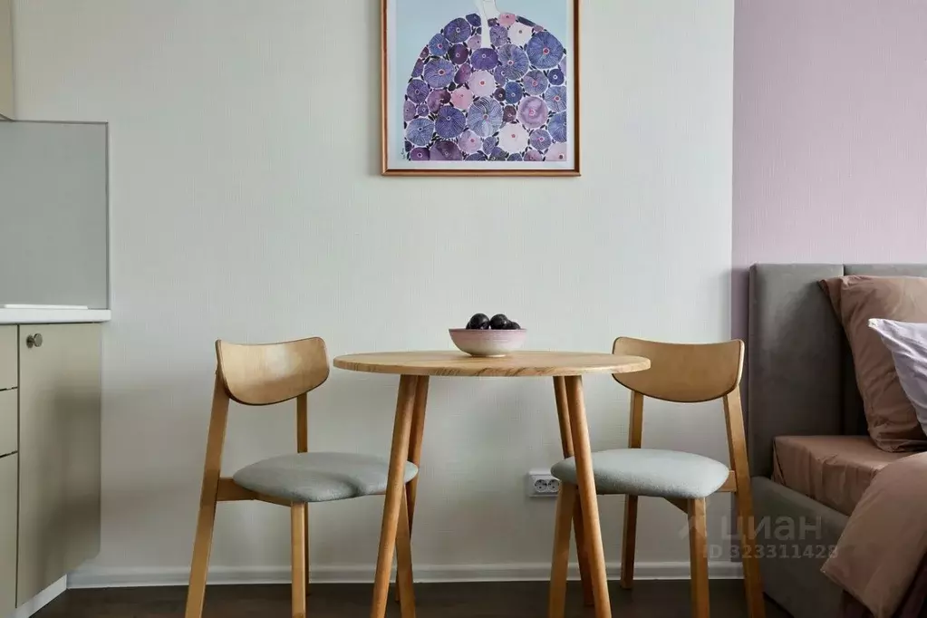 Студия Санкт-Петербург ул. Пейзажная, 24к3 (21.1 м) - Фото 2