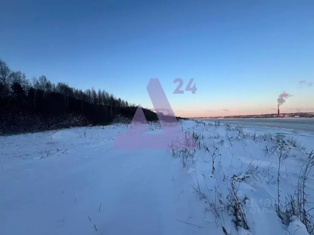 Участок в Пермский край, Пермь Курьинская ул., 7 (6.0 сот.) - Фото 1