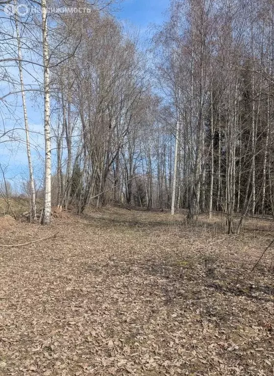 Участок в Новгородская область, Демянский муниципальный округ, деревня ... - Фото 2