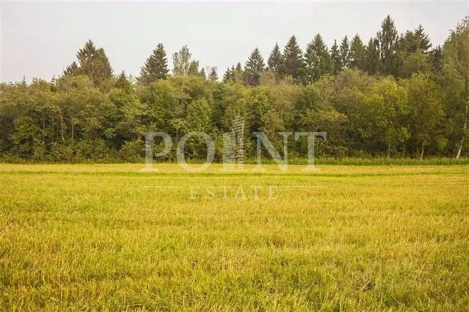 Участок в Москва д. Горчаково,  (83.0 сот.) - Фото 2