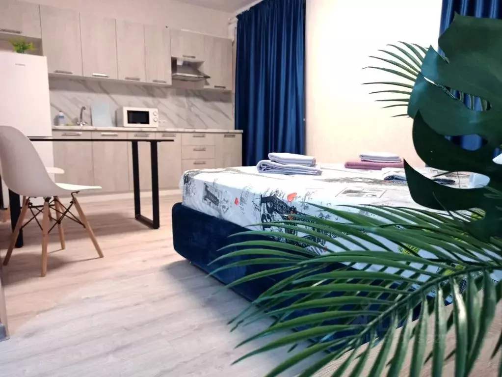 Студия Крым, Симферополь просп. Победы, 189 (28.0 м) - Фото 2