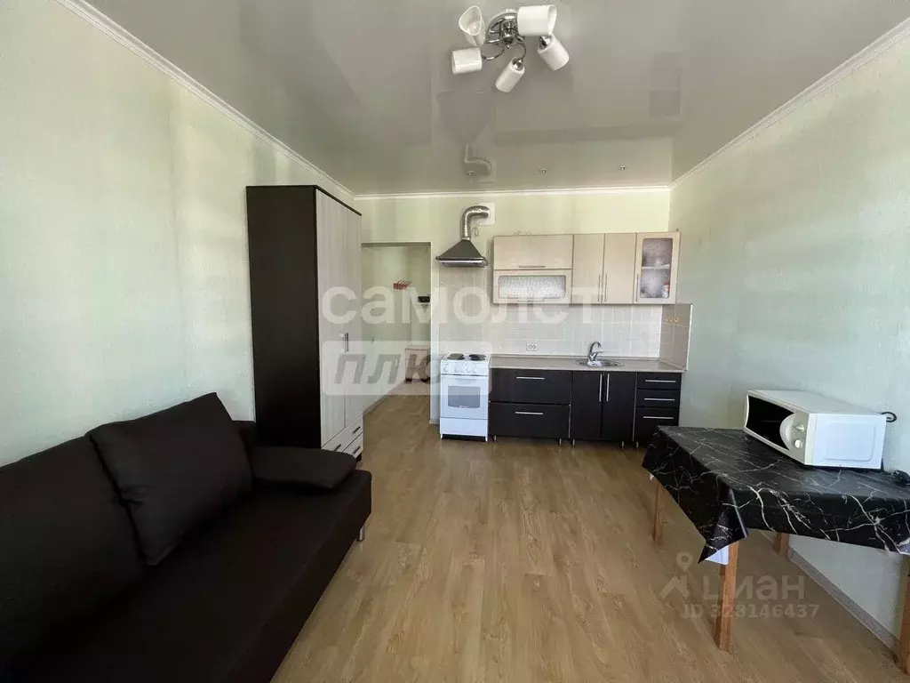 Студия Пензенская область, Пензенский район, Засечный сельсовет, с. ... - Фото 2