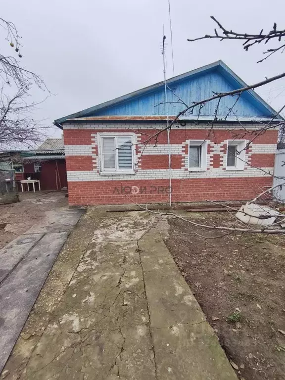 Дом в Саратовская область, Энгельс Холмистая ул., 10 (49 м) - Фото 2