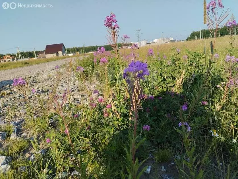 Участок в Тюменский район, деревня Падерина (10 м) - Фото 0