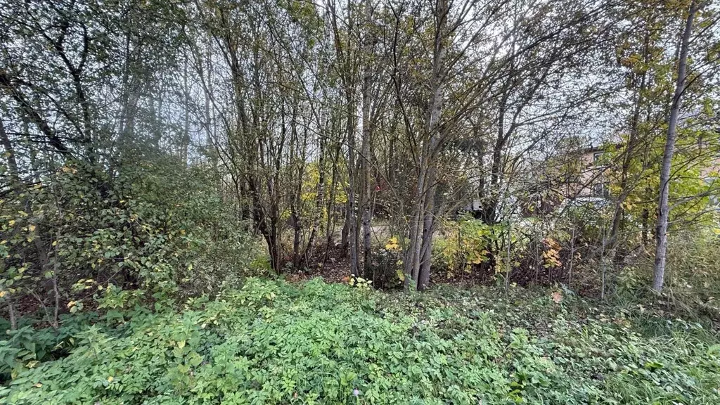 Участок в Московская область, Можайский муниципальный округ, д. ... - Фото 2