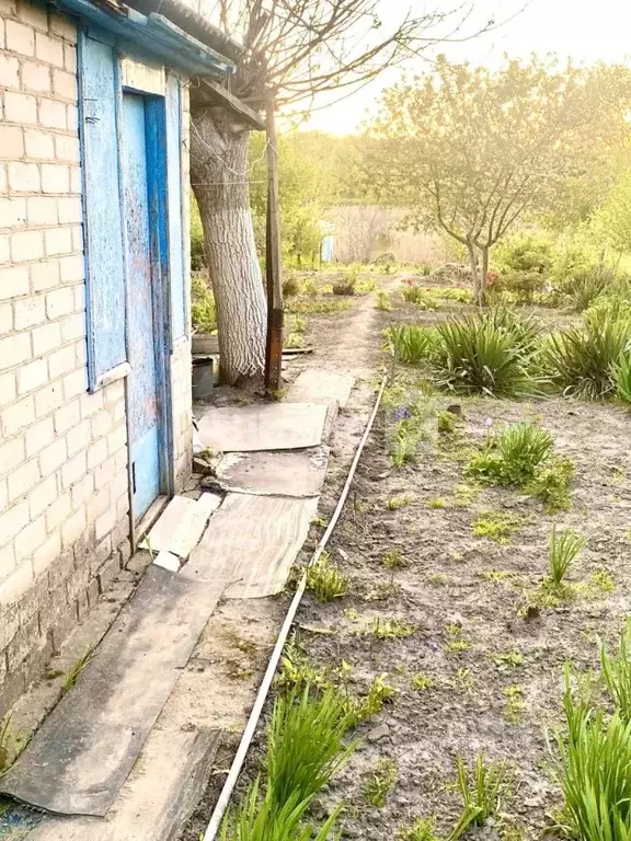 Дом в Ростовская область, Белокалитвинское городское поселение, ... - Фото 1