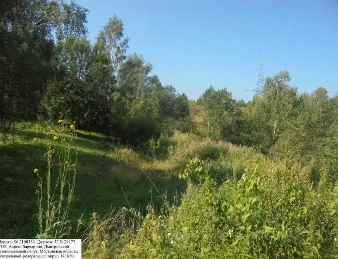 Участок в Московская область, Дмитровский муниципальный округ, д. ... - Фото 1