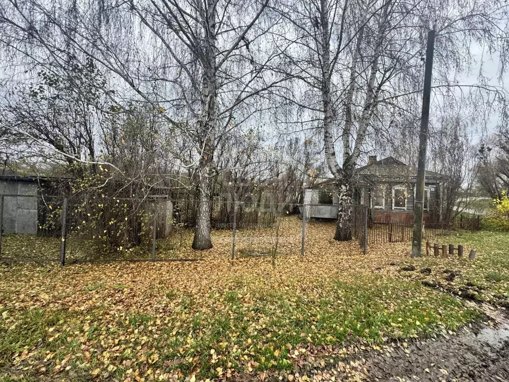 Участок в Рязанская область, Рыбновский муниципальный округ, с. ... - Фото 2