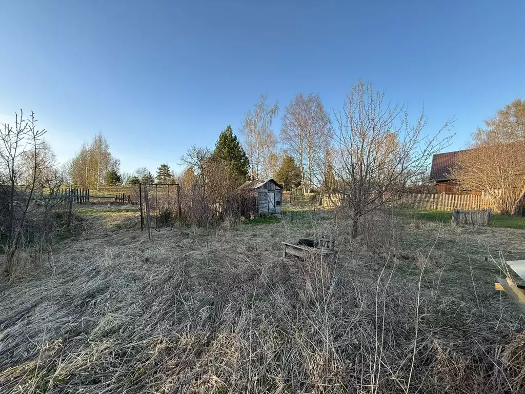 Участок в Владимирская область, Александровский район, ... - Фото 1