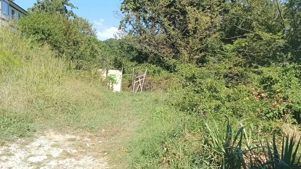 Участок в Краснодарский край, Сочи городской округ, с. Раздольное ул. ... - Фото 0