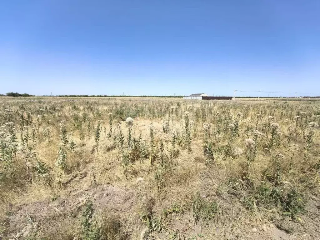 Участок в Краснодарский край, Ейск ул. Чайковского (6.1 сот.) - Фото 2