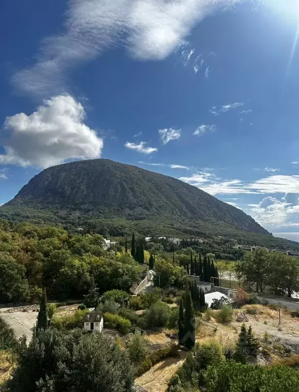 Участок в Крым, Ялта муниципальный округ, Гурзуф пгт  (50.0 сот.) - Фото 1