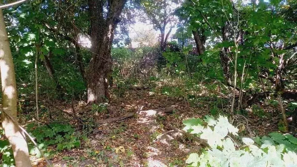 Участок в Брянская область, Брянск ул. Вали Сафроновой (17.0 сот.) - Фото 1