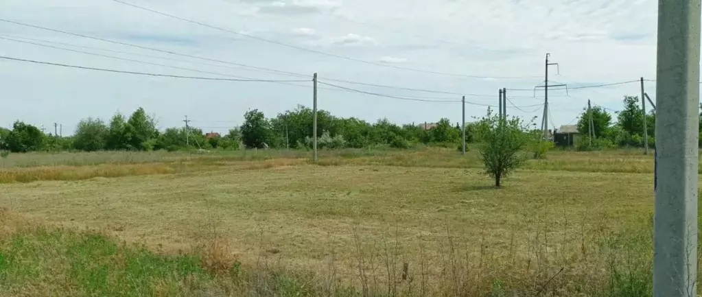 Участок в Волгоградская область, Волгоград Мускатная ул. (6.5 сот.) - Фото 1