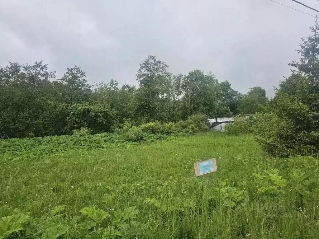 Участок в Московская область, Клин городской округ, д. Надеждино уч4 ... - Фото 1