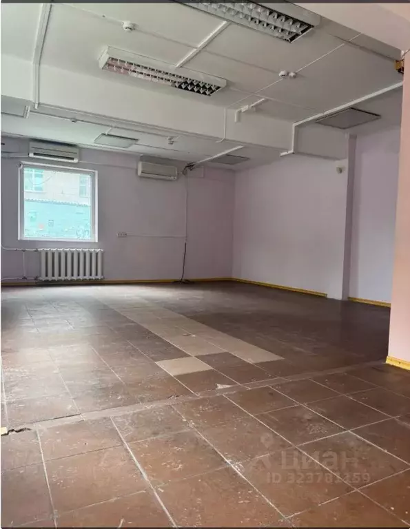 Торговая площадь в Новосибирская область, Новосибирск ул. Ленина, 73 ... - Фото 2