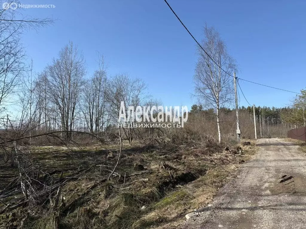 Участок в Плодовское сельское поселение (25 м) - Фото 2