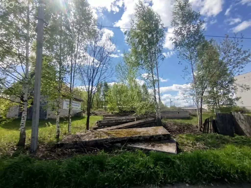 Участок в Шарья, Лугининская улица (13 м) - Фото 1
