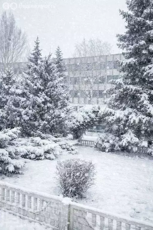 Торговая площадь (40 м) - Фото 2