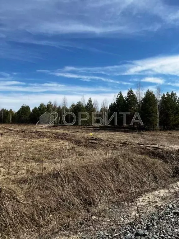 Участок в Тюменская область, Тюменский район, Новокаменский кп ул. ... - Фото 1