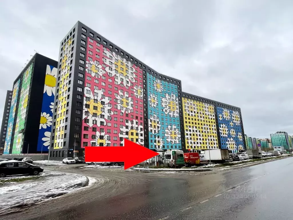 Помещение свободного назначения в Ленинградская область, Мурино ... - Фото 1