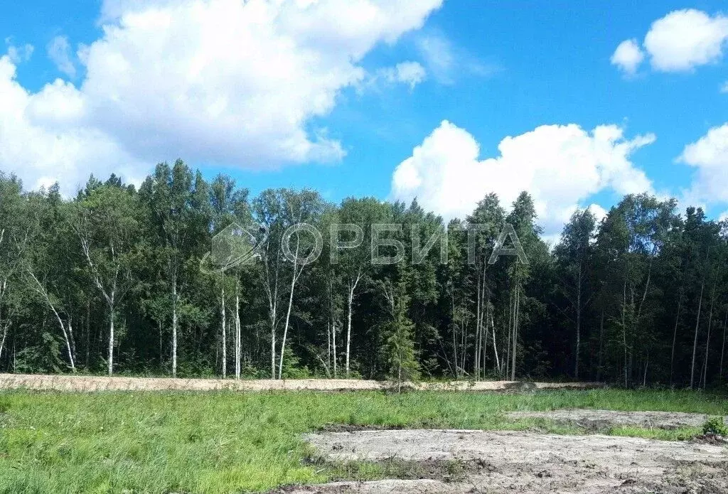 Участок в Тюменская область, Нижнетавдинский район, с. Тюнево  (8.0 ... - Фото 2