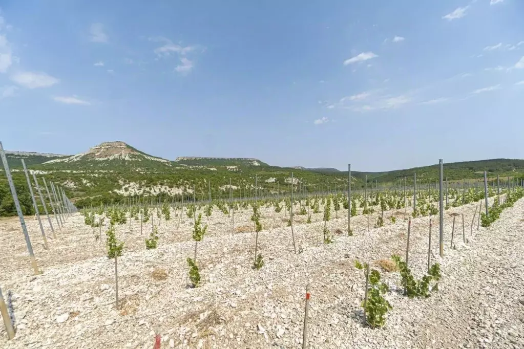 Производственное помещение в Крым, Бахчисарайский район, ... - Фото 1