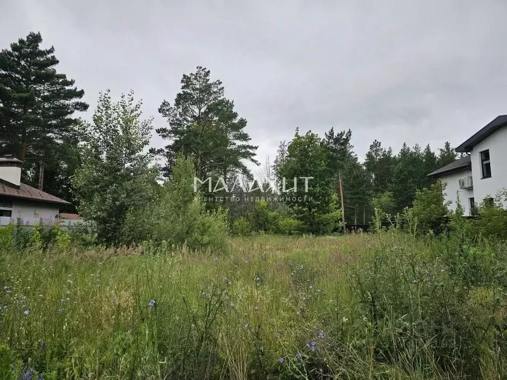 Участок в Самарская область, Красноярский район, Светлое Поле с/пос, ... - Фото 2